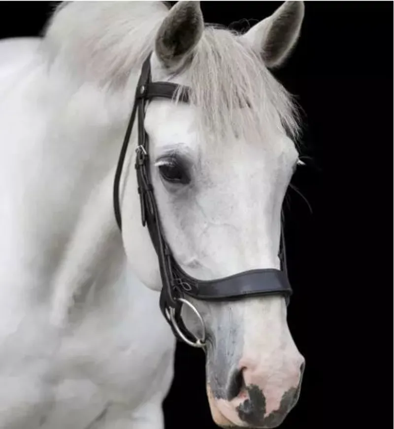 Eco Rider Freedom Comfort Bridle-1